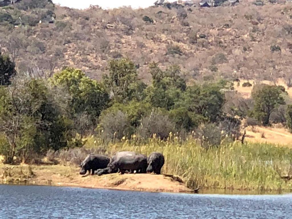 Kuwisa Lodge Bela-Bela Bagian luar foto