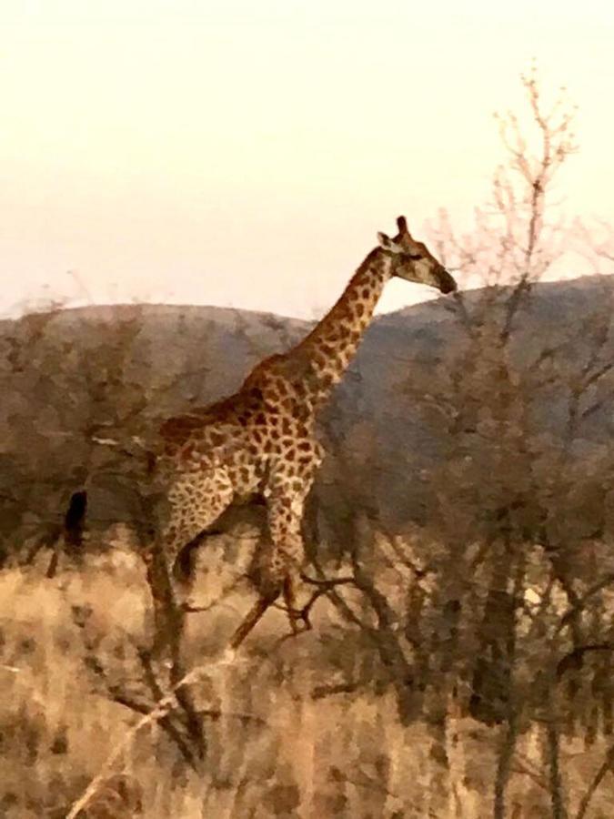 Kuwisa Lodge Bela-Bela Bagian luar foto